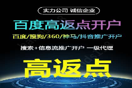 成功托管SEM竞价，实现品牌快速曝光
